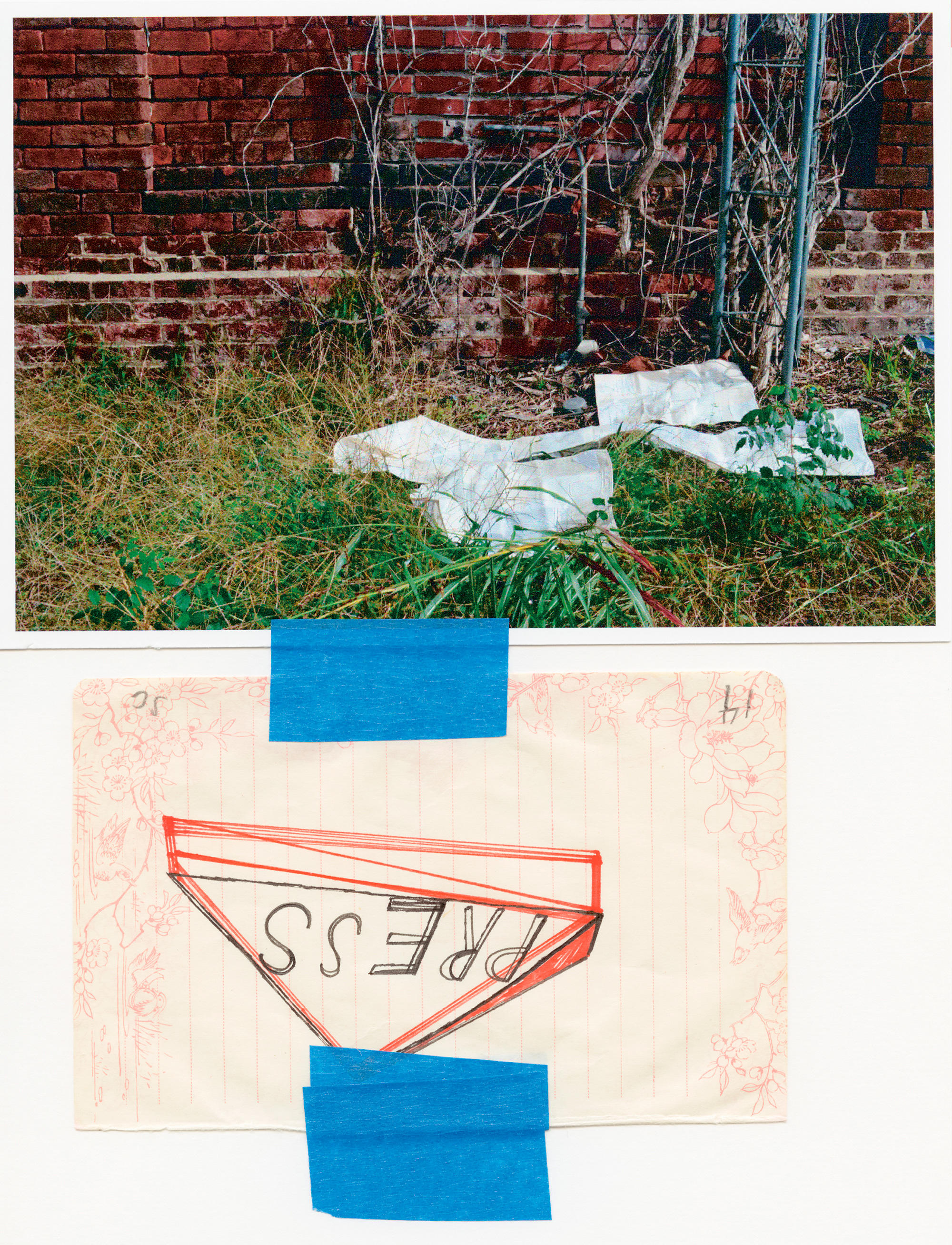 Nieves · Susan Cianciolo