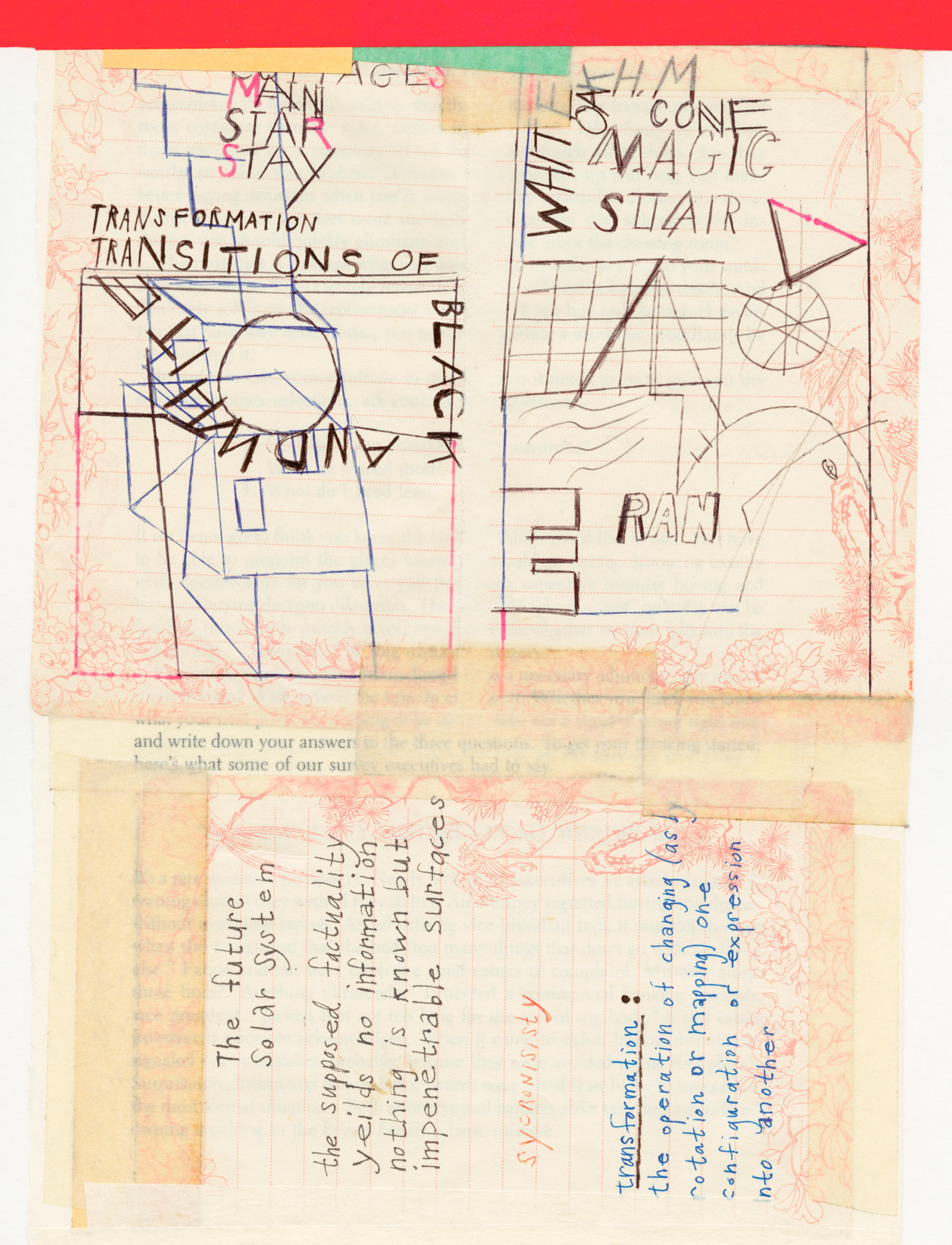 Nieves · Susan Cianciolo