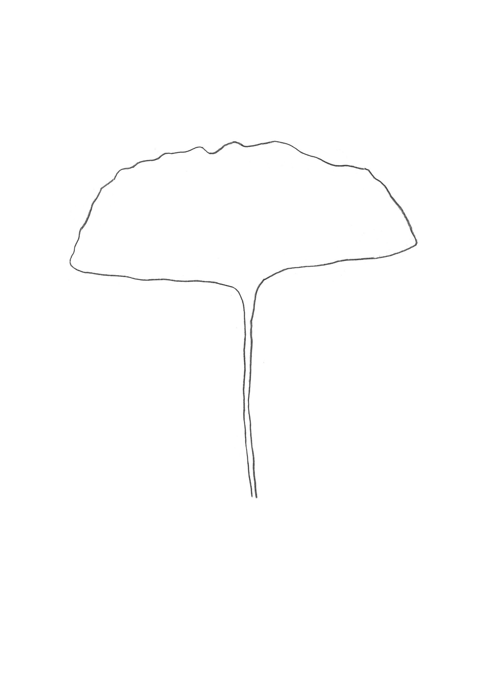gingko7.jpg-preview3.jpg