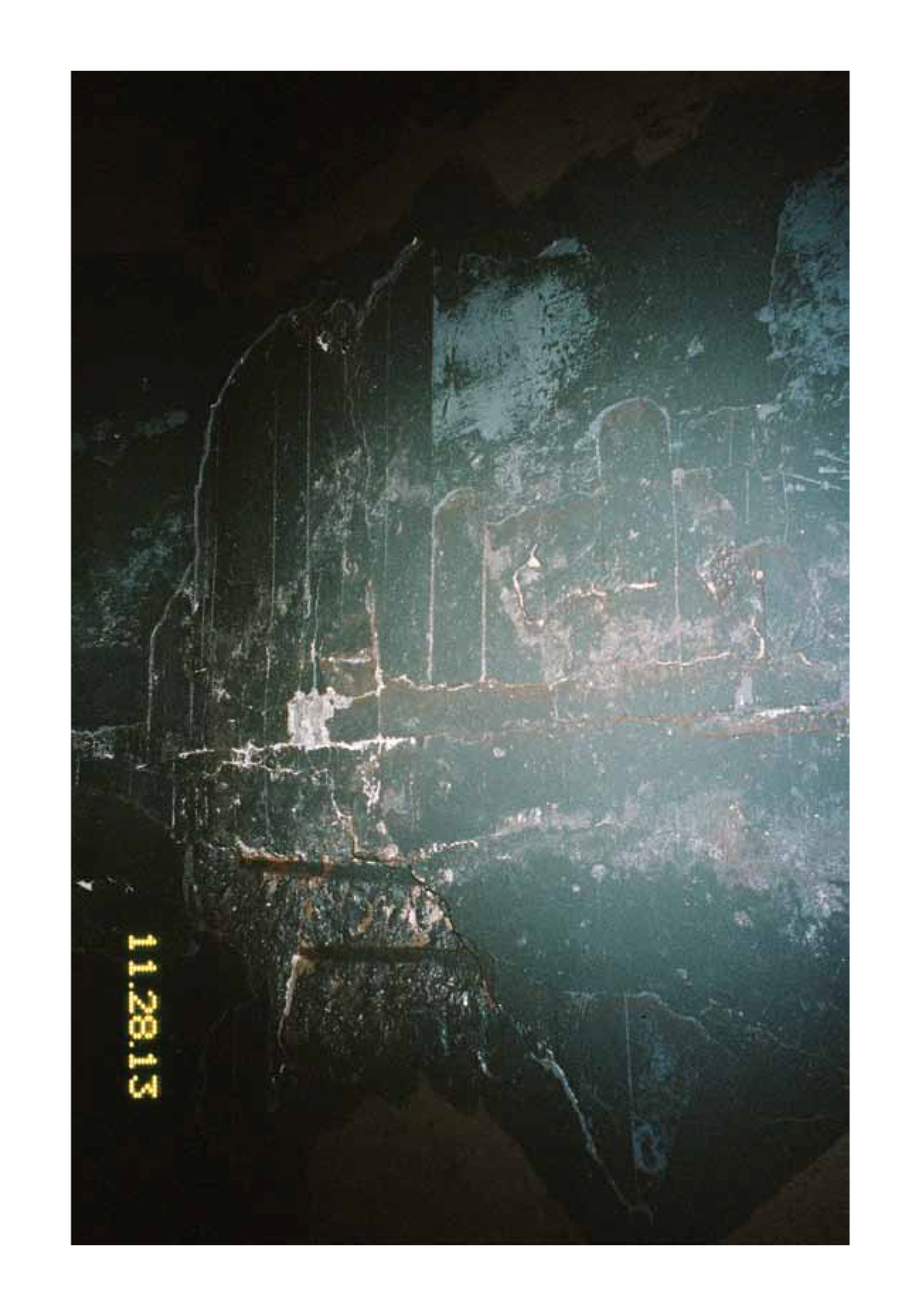 Nieves · Ari Marcopoulos
